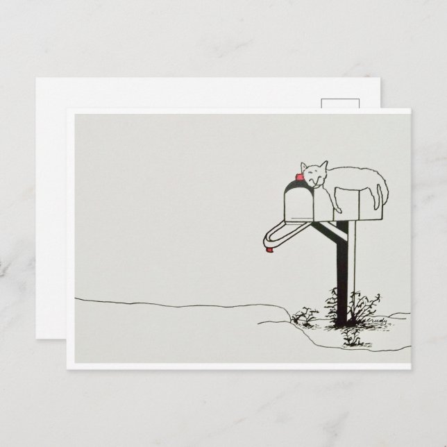 Cartão Postal Gato Adormecido Esperando por Correspondência (Frente/Verso)