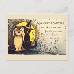 Cartão Postal Gato Amigável e Coruja do Início do Século XX no H