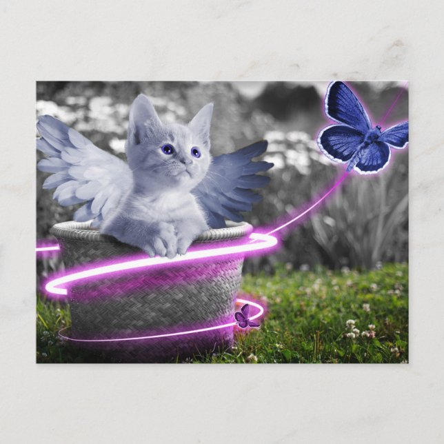 Cartão Postal gato anjo (Frente)
