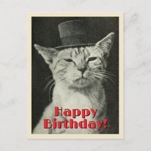Cartão Postal Gato Antigo de Cartola Feliz Aniversário