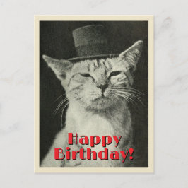 Cartão Postal Gato Antigo de Cartola Feliz Aniversário