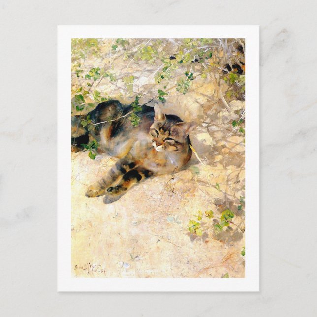 Cartão Postal Gato ao Sol, Bruno Liljefors (Frente)