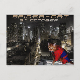 Cartão Postal gato-aranha