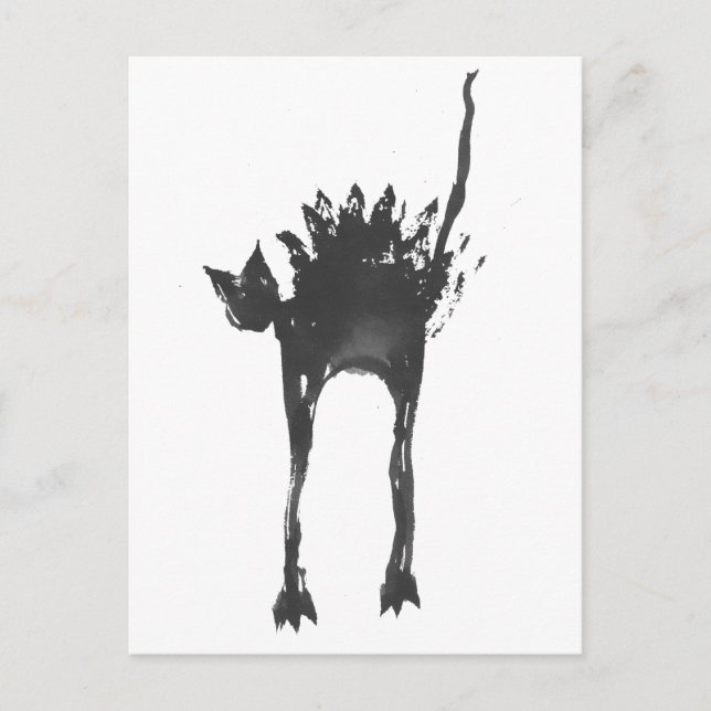 Cartão Postal gato assustado (Frente)