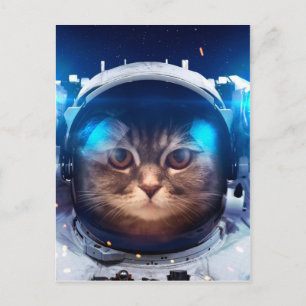 Cartão Postal Gato astronauta flutua acima da Terra
