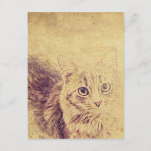 Cartão Postal Gato bonito amante lápis esboço cinza por gato