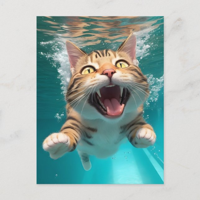 Cartão Postal Gato Bonito Nadando Submarino Submarino na Piscina (Frente)