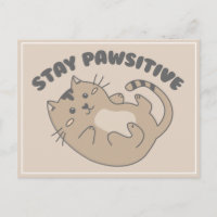 Gato Bonito Que Fica Positivo Fica Bem Arrumado