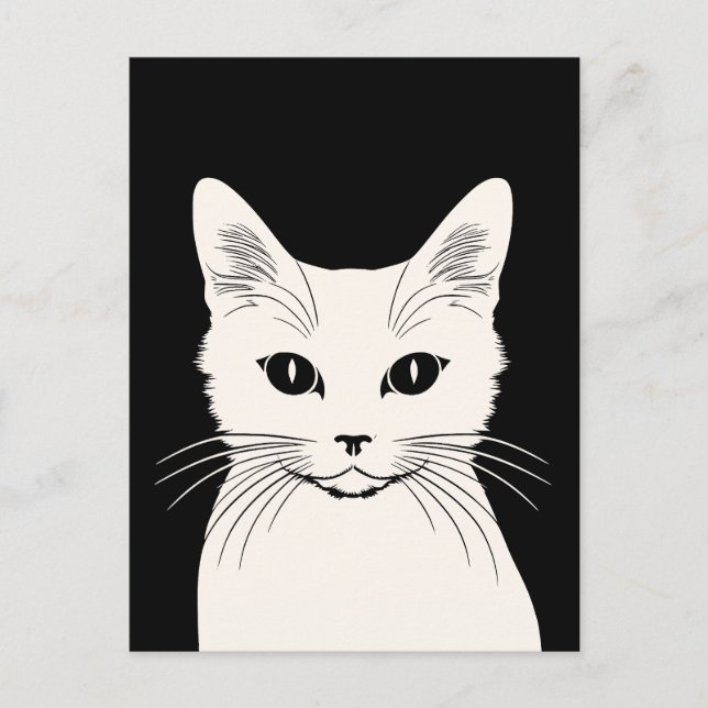 Cartão Postal Gato branco (Frente)