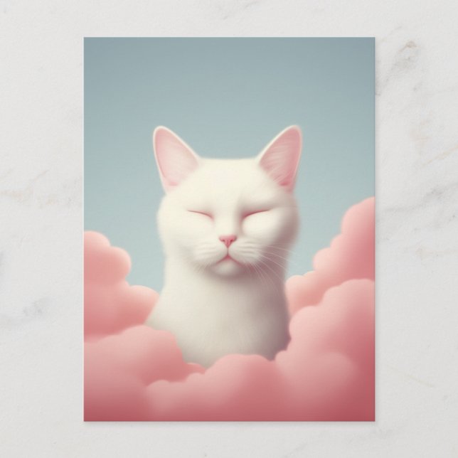 Cartão Postal Gato Branco Adormecido Nas Nuvens (Frente)