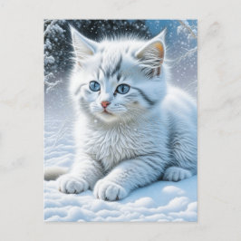 Cartão Postal Gato Branco Bonito Brincando na Neve