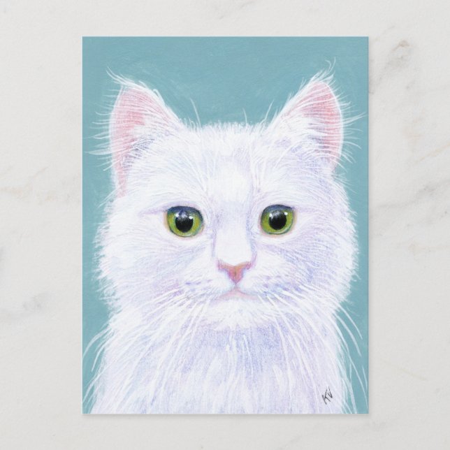 Cartão Postal Gato Branco Cinto com olhos verdes postais (Frente)