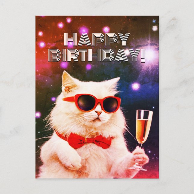 Cartão Postal Gato branco com óculos de sol a brindar Aniversári (Frente)