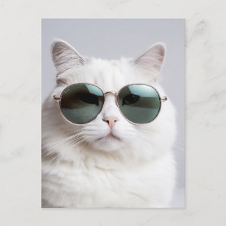 Cartão Postal Gato branco com óculos de sol, legal felino, adorá