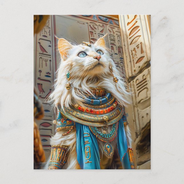 Cartão Postal Gato Branco como Sacerdote Alto em Trona (Frente)