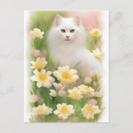 Cartão Postal Gato Branco de Cabelo Longo