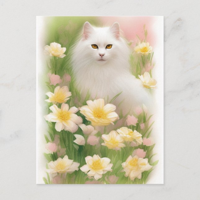Cartão Postal Gato Branco de Cabelo Longo (Frente)