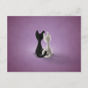 Cartão Postal Gato Branco de Gato Preto (Cor 4)