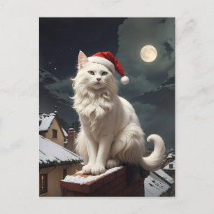 Cartão Postal gato branco de natal