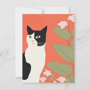 Cartão Postal Gato branco e preto