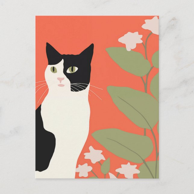 Cartão Postal Gato branco e preto (Frente)