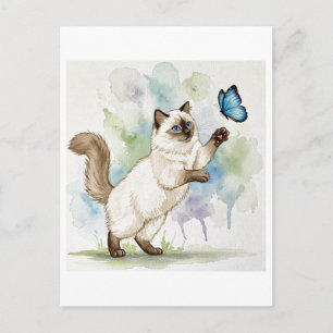 Cartão Postal Gato Branco Fofo Borboleta Olhos Azu