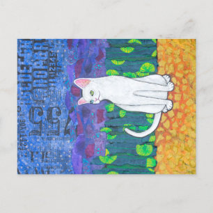 Cartão Postal Gato Branco Odd