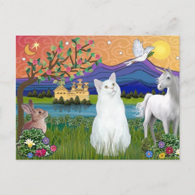 Cartão Postal Gato Branco - Terra da Fantasia (Frente)