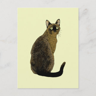 Cartão Postal Gato Burmese