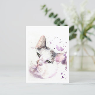 Cartão Postal Gato caçador