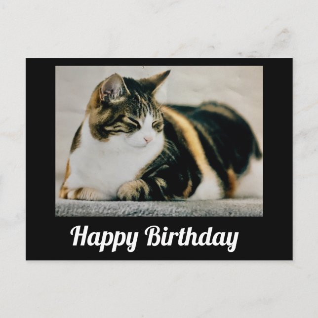 Cartão Postal Gato Calico Sonolento Feliz Aniversário Fofo (Frente)