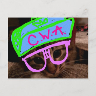 Cartão Postal Gato com atitude