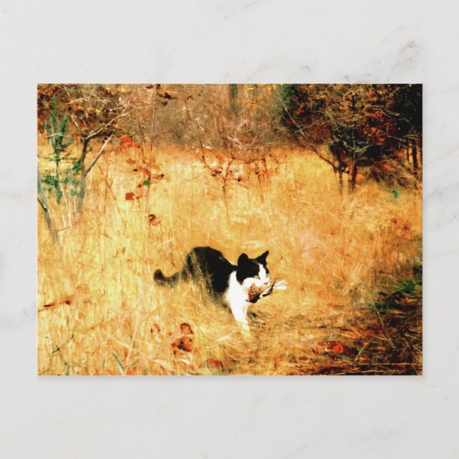 Cartão Postal Gato com Pássaro na Boca (Frente)