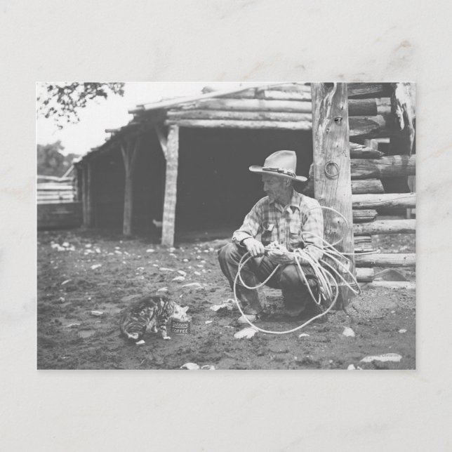 Cartão Postal Gato comendo de uma lata de café. (Frente)