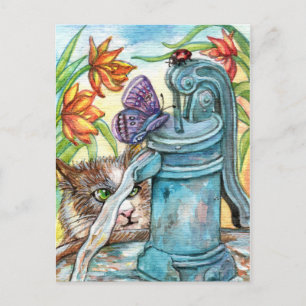Cartão Postal Gato Curioso