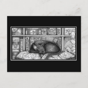 Cartão Postal Gato da Biblioteca Vitoriana
