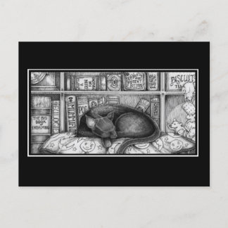 Cartão Postal Gato da Biblioteca Vitoriana