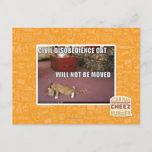 Cartão Postal Gato da desobediência civil