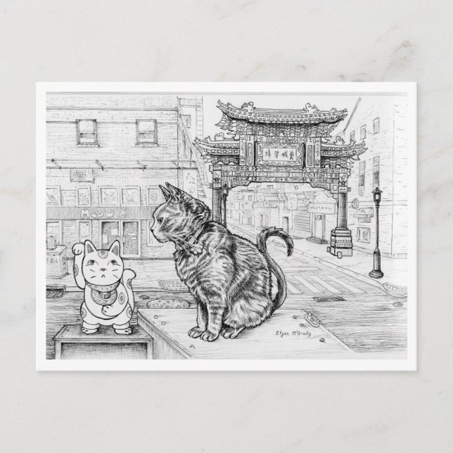 Cartão Postal Gato da Filadélfia no Chinatown (Frente)
