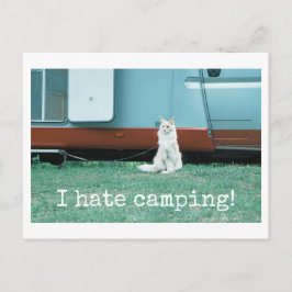 Cartão Postal Gato de Acampamento