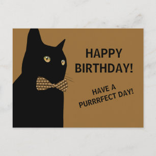 Cartão Postal Gato de Aniversário Feliz Negro com Arco castanho