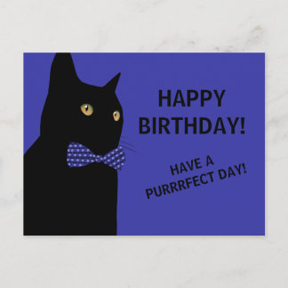 Cartão Postal Gato de Aniversário Feliz Preto com Arco Azul