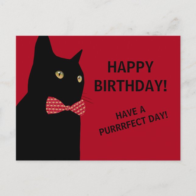 Cartão Postal Gato de Aniversário Feliz Preto com Arco Vermelho (Frente)