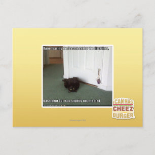 Cartão Postal Gato de Base, ligeiramente desorientado