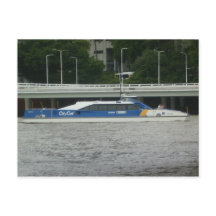 Gato de Brisbane City