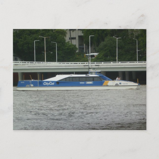 Cartão Postal Gato de Brisbane City (Frente)