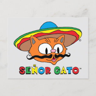 Cartão Postal Gato de desenho animado colorido engraçado Cinco d