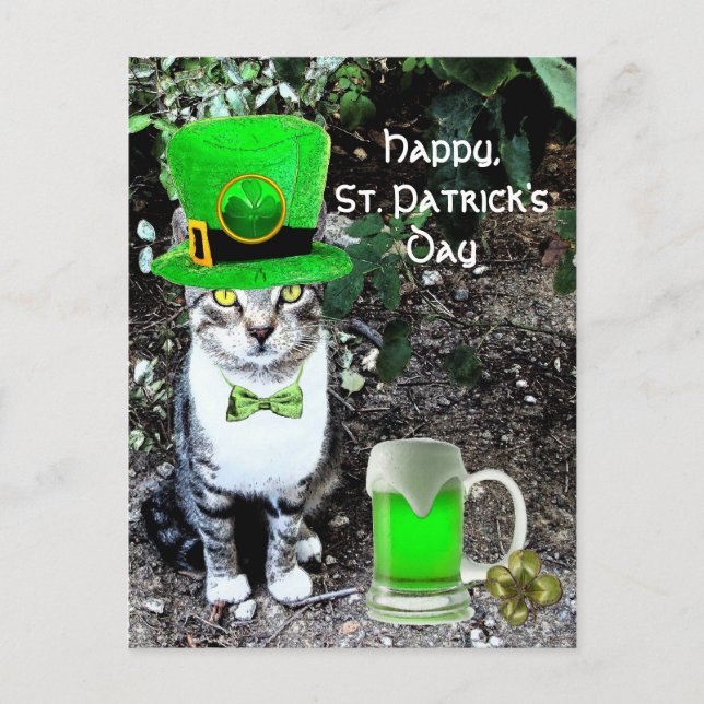 Cartão Postal GATO DE Dia de São Patrício COM CERVEJA VERDE IRLA (Frente)