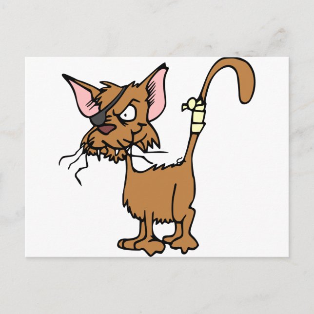 Cartão Postal Gato de escruffy (Frente)