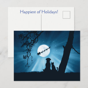 Cartão Postal Gato de Férias Cachorro e Noel